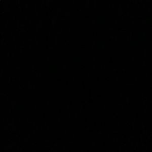 Meet your Posher, Frankie